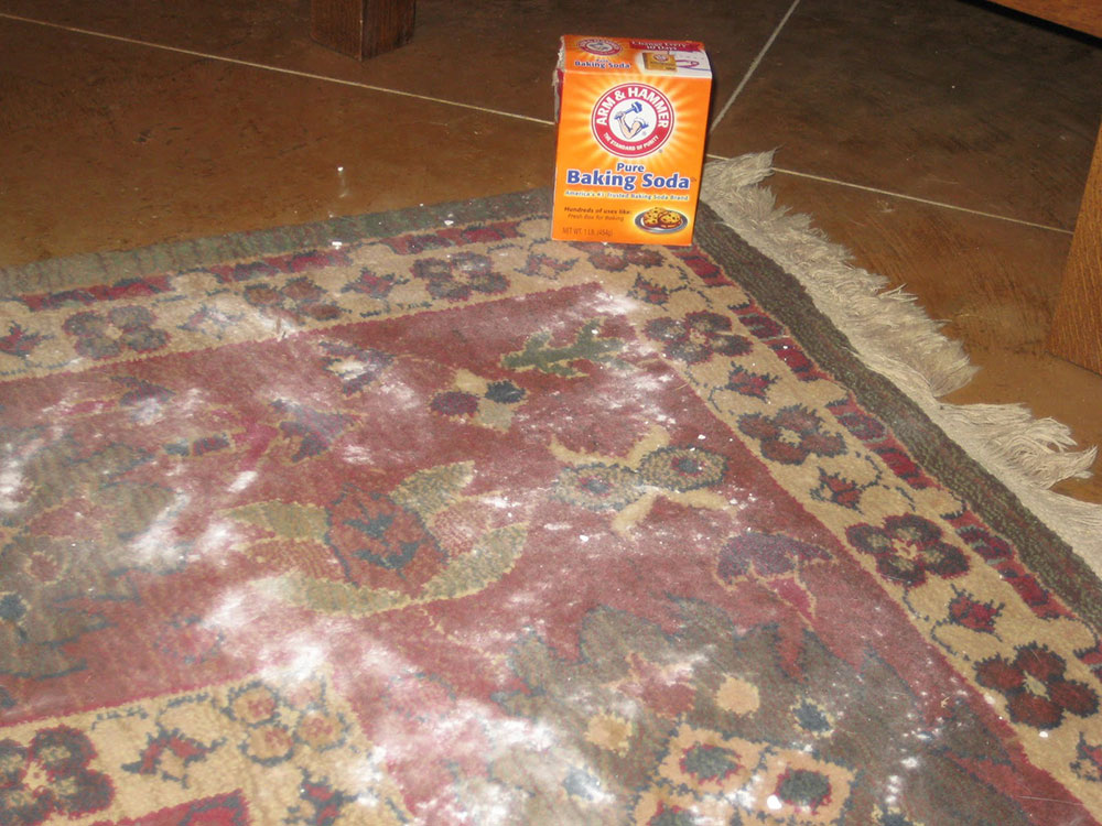 Keep-your-carpet-dry What Kills Mold in a Carpet and How to Avoid It Altogether (Answered)