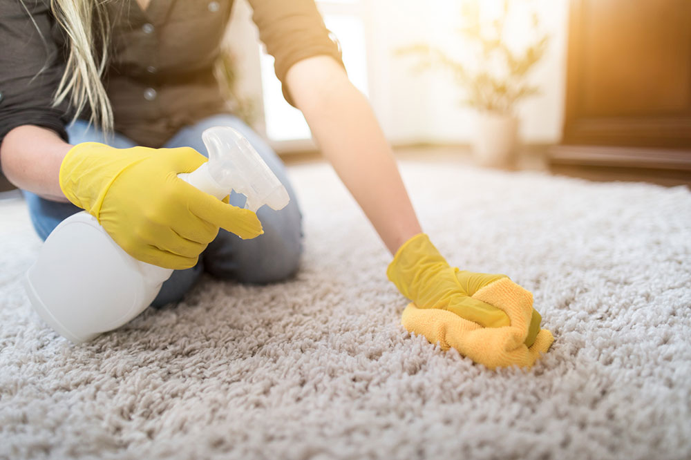 Sanitize-the-carpet What Kills Mold in a Carpet and How to Avoid It Altogether (Answered)