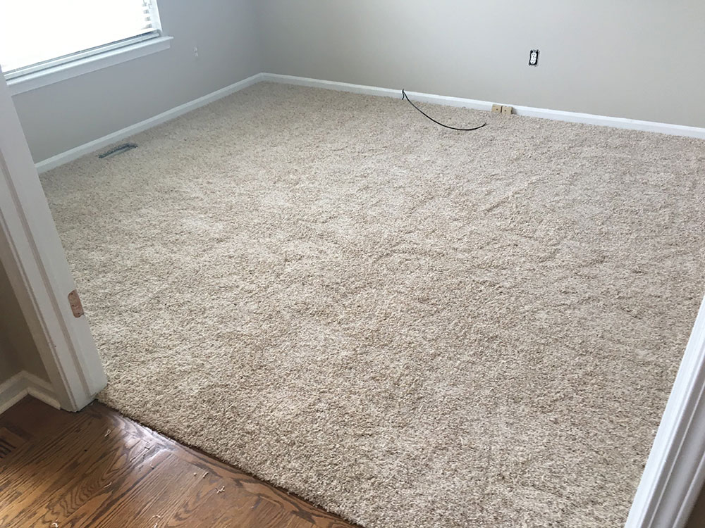 Stainmaster-Carpet-by-Ann-Arbor-Carpets-Flooring-America What’s the Best Carpet for Pets? Search No More (Answered)