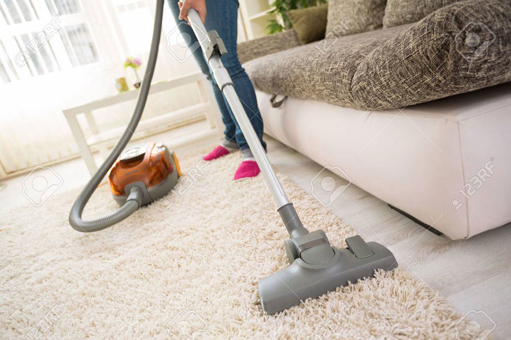 Vacuum What Kills Mold in a Carpet and How to Avoid It Altogether (Answered)