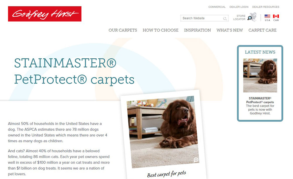 stainmaster What’s the Best Carpet for Pets? Search No More (Answered)