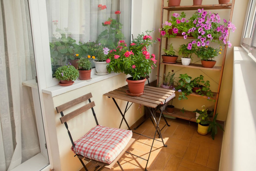 Decorate-the-house-with-colorful-flowers How to increase humidity in a room to avoid health issues