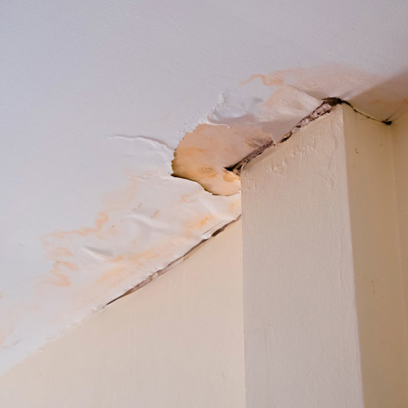 What Causes Cracks in Ceilings and How to Fix Them (Answered)