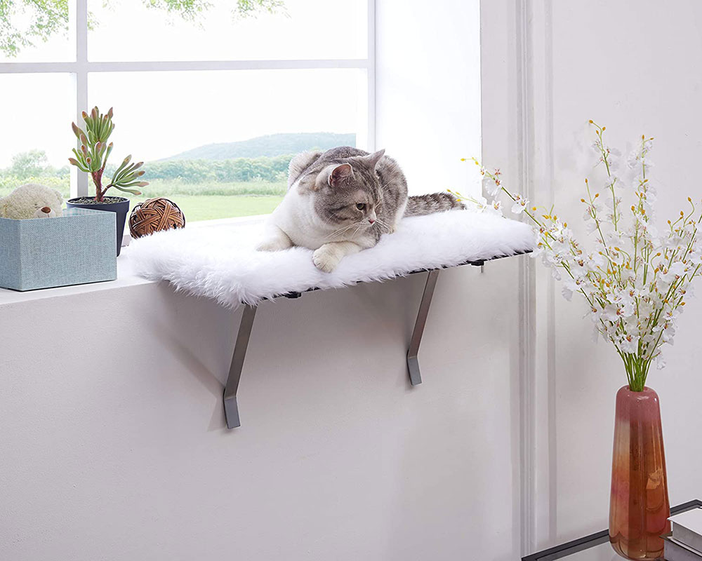 Cat-Window-Sill-Perch How to build a cat window box with these DIY ideas