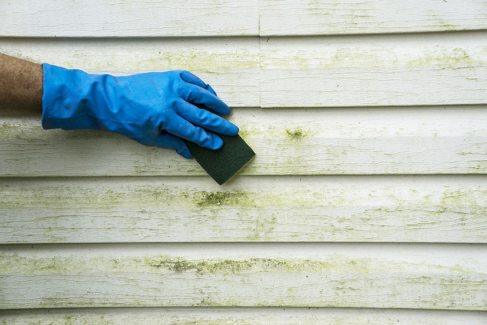 How-to-Clean-Vinyl-Siding How to wash vinyl siding like a professional