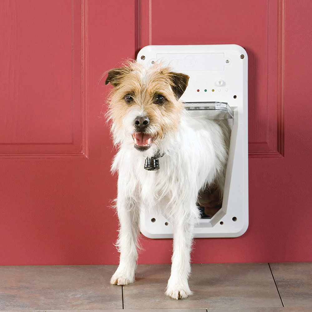 PetSafe-Electronic-Smart-Door DIY dog door examples you can build for your pup