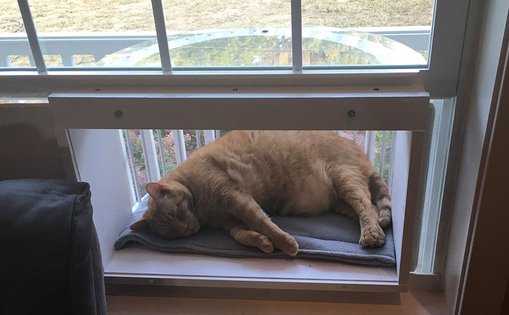 Plexiglass-Cat-Window-Box How to build a cat window box with these DIY ideas