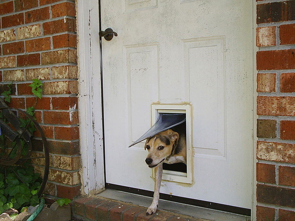 Securing-Your-DIY-dog-door DIY dog door examples you can build for your pup