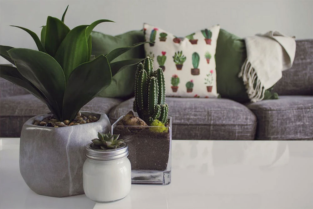 2-4 Expert Tips for Designing Your Home With Plants