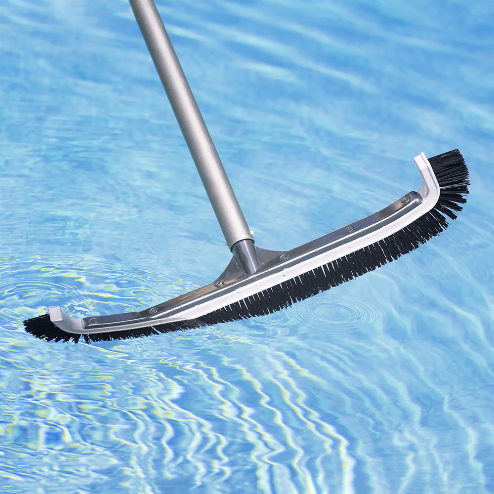 Brush-the-dividers-and-floor-of-the-pool-appropriately What causes algae in a swimming pool and how to get rid of them