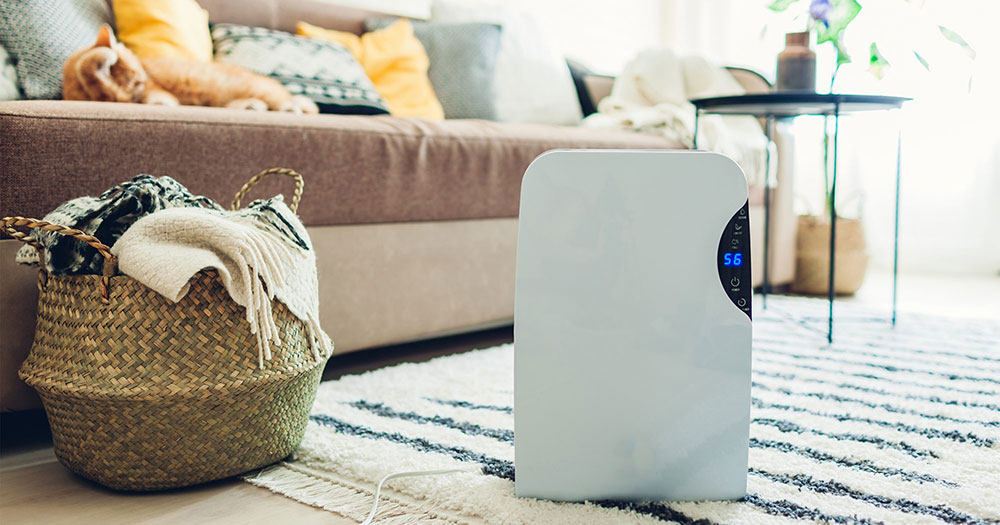 Dehumidifiers What is the ideal humidity level in a home and how to get it