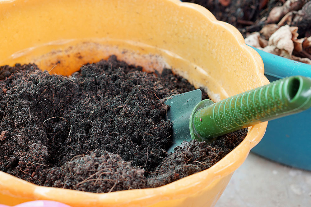 Potting-soil What is the difference between garden soil and potting soil?