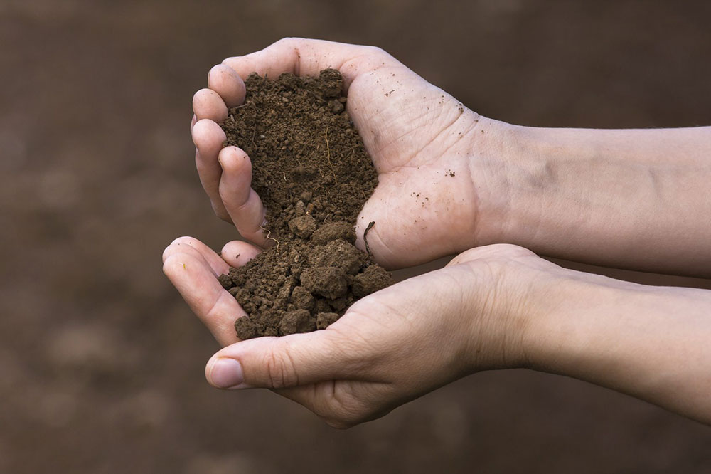 Potting-soils-Textures What is the difference between garden soil and potting soil?