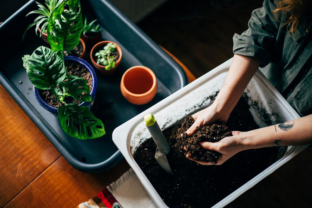 The-use-of-potting-soils What is the difference between garden soil and potting soil?