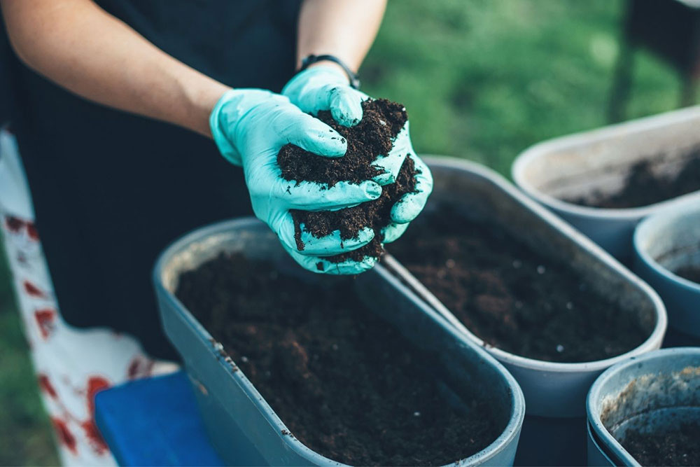 When-to-use-potting-soil What is the difference between garden soil and potting soil?