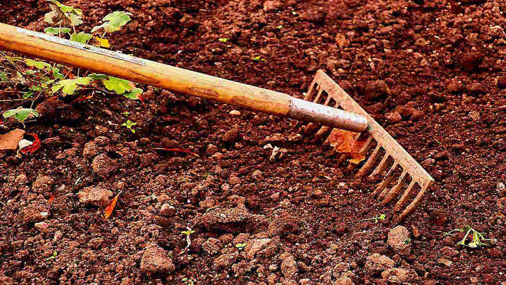 gard What is the difference between garden soil and potting soil?