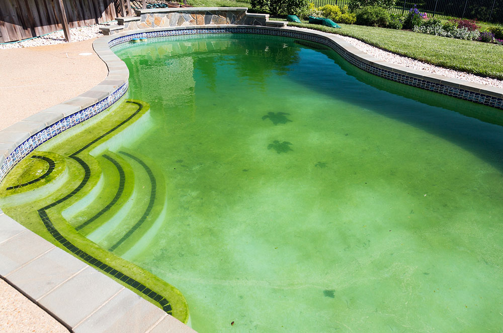 phos How to lower phosphates in a swimming pool