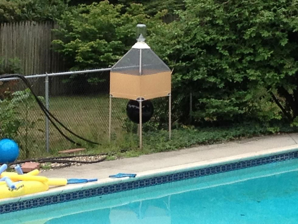 how to get rid of horse flies around the swimming pool