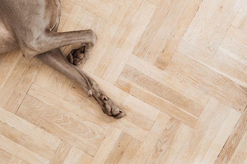 2 7 Tips For Every Homeowner Looking To Install Wooden Floors
