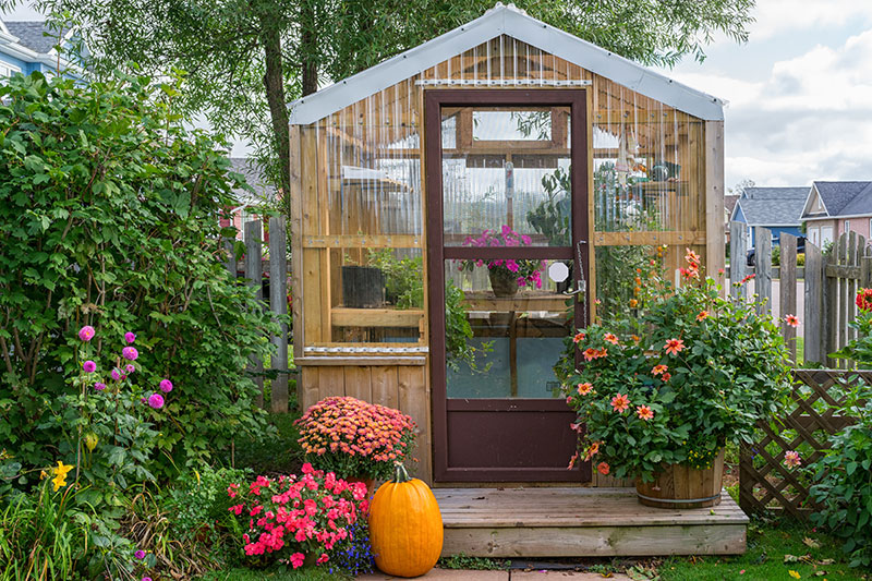 AdobeStock_286759303 6 Advantages Of A Wooden Greenhouse