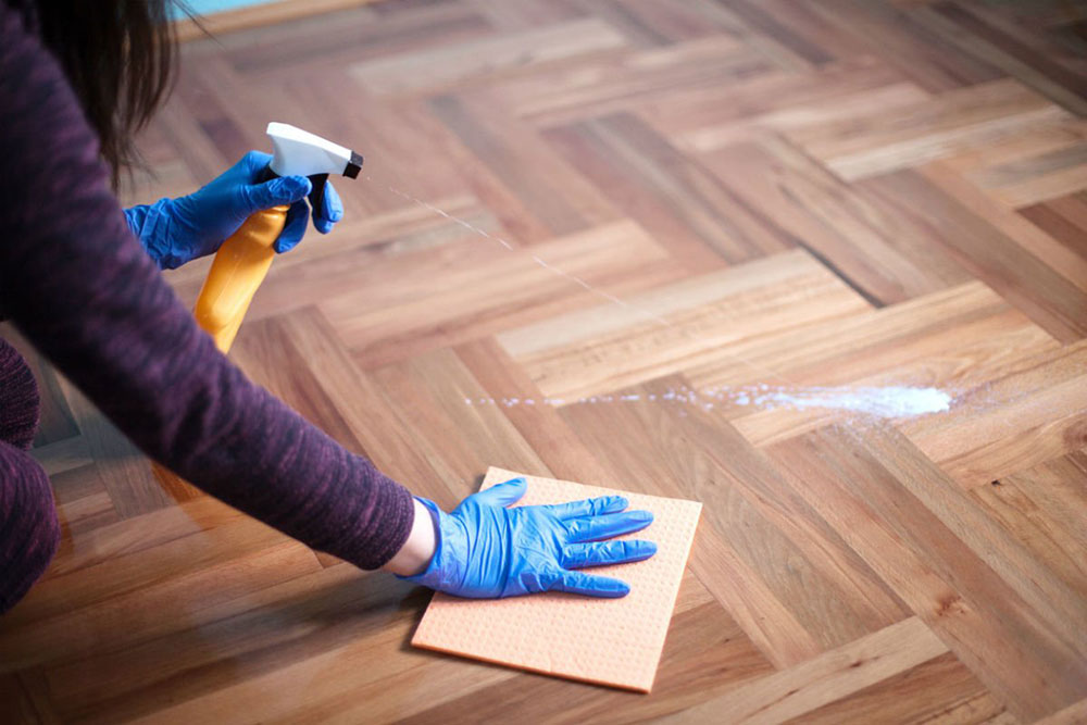 Cat-stain-remover How to remove pet stains from hardwood flooring