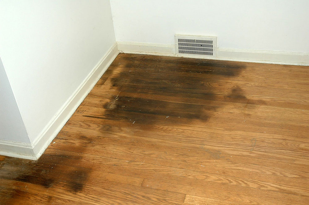 Remove Pet Stains From Hardwood Flooring, How To Detect Dog Urine On Hardwood Floors