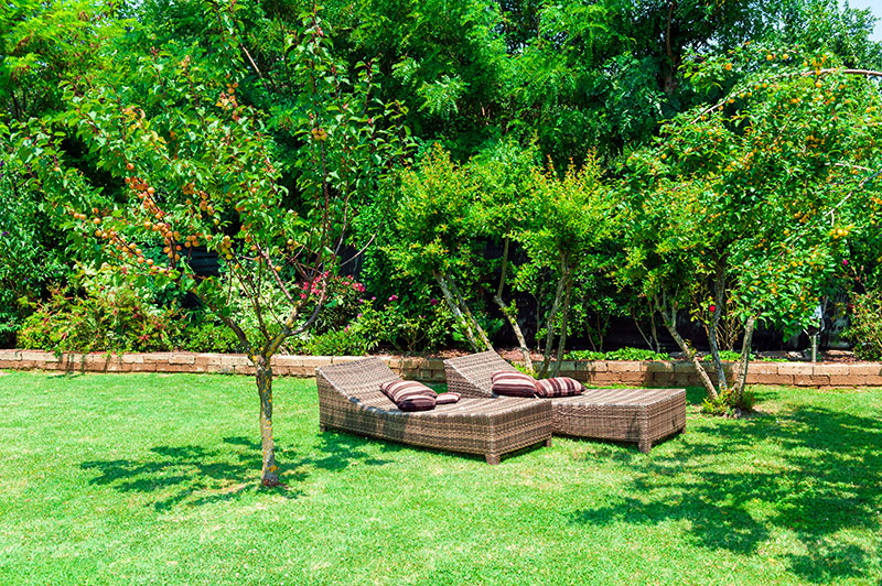 AdobeStock_42819767 8 Trendy And Best Outdoor Garden Loungers To Consider