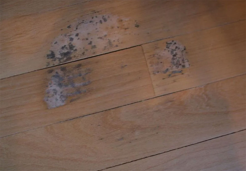 Managing-sodden How to restore hardwood flooring easily