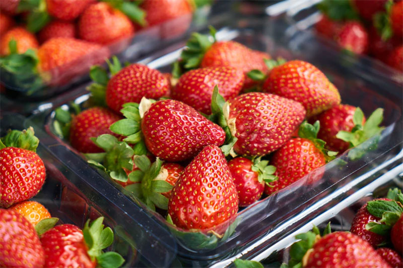 s2 Useful Tips On How To Easily Grow Strawberries At Home