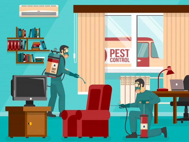 Household-Pest-Control-When-is-it-time-to-call-the-experts-1 Household Pest Control: When is it time to call the experts?