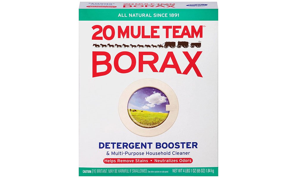 Borax How To Get Rid Of Ants In The Kitchen Quickly