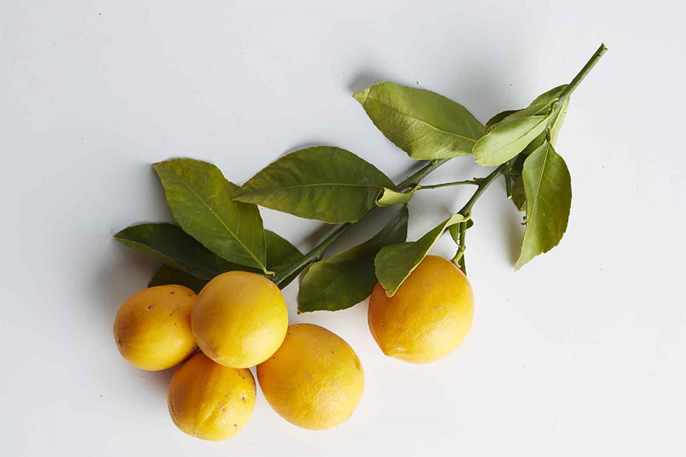 Lemons How To Get Rid Of Ants In The Kitchen Quickly