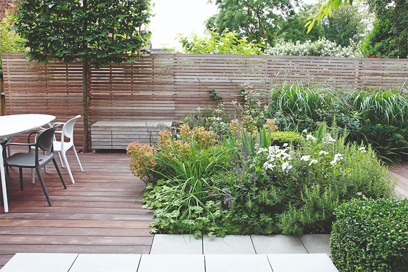 3-2 A Budget-Friendly Guide to Garden Renovation