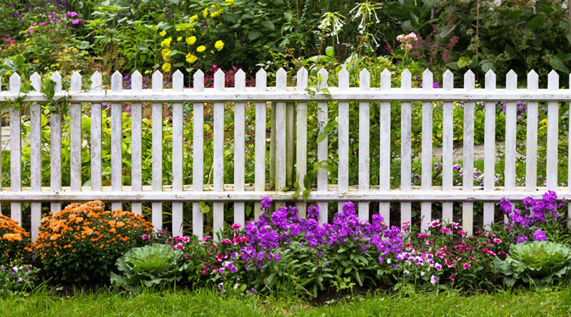 5-1 A Budget-Friendly Guide to Garden Renovation