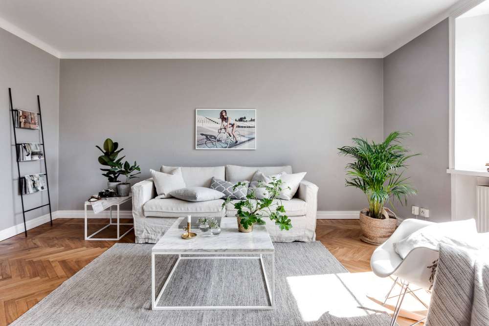 1-10-2 How To Arrange Plants In The Living Room
