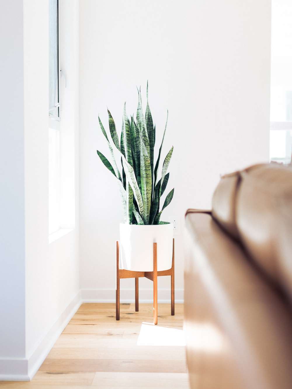 1-12-4 How To Arrange Plants In The Living Room
