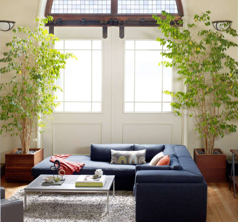 1-25-2 How To Arrange Plants In The Living Room