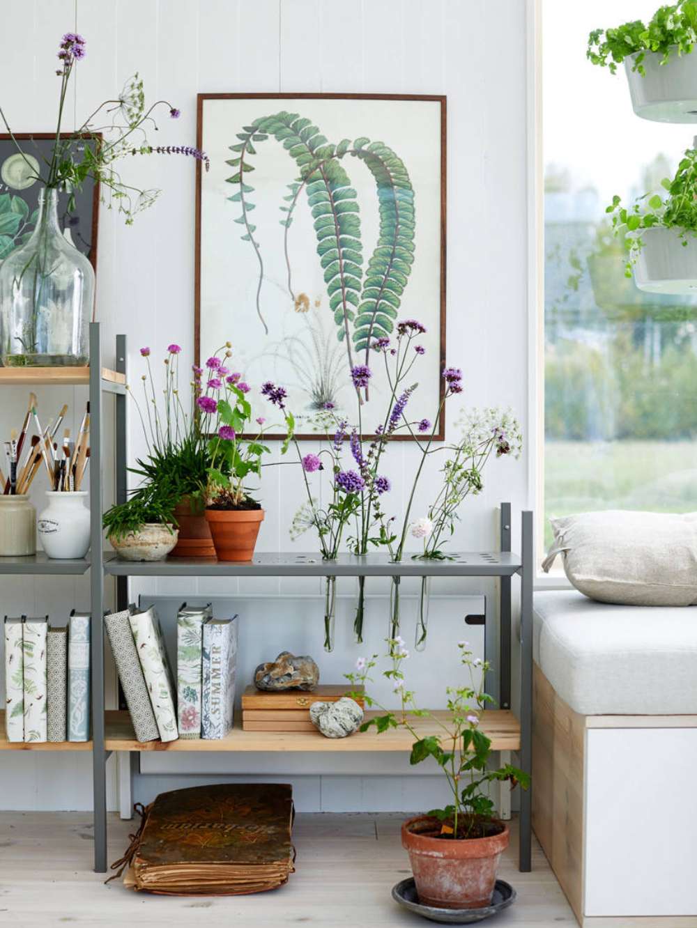 1-6-3 How To Arrange Plants In The Living Room