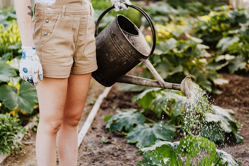 g2 7 Things You'll Need If You Want To Have The Perfect Garden